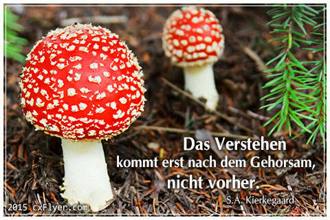 Das Verstehen kommt erst nach dem Gehorsam, nicht vorher.