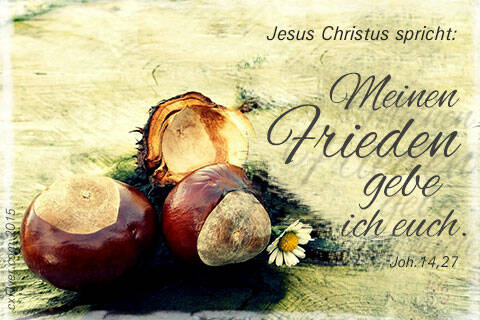 Jesus Christus spricht Meinen Frieden gebe ich euch.