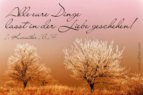 Alle eure Dinge lasst in der Liebe geschehen.
