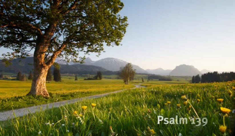 Der Psalm 139 einer der schönsten Psalmen überhaupt! Kaum irgendwo in der Weltliteratur wird so poetisch Gottes Allmacht und Fürsorge besungen.