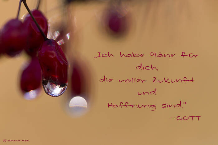 Ich habe Pläne für dich, die voller Zukunft und Hoffnung sind.