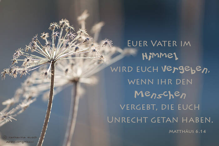 Euer Vater im Himmel wird euch vergeben, wenn ihr den Menschen vergebt, die euch Unrecht getan haben.