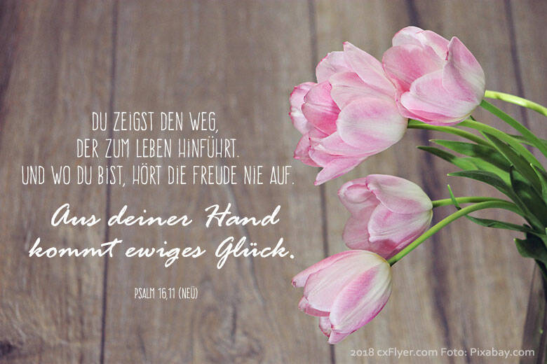 Du zeigst den Weg, der zum Leben hinführt. Und wo du bist, hört die Freude nie auf. Aus deiner Hand kommt ewiges Glück.