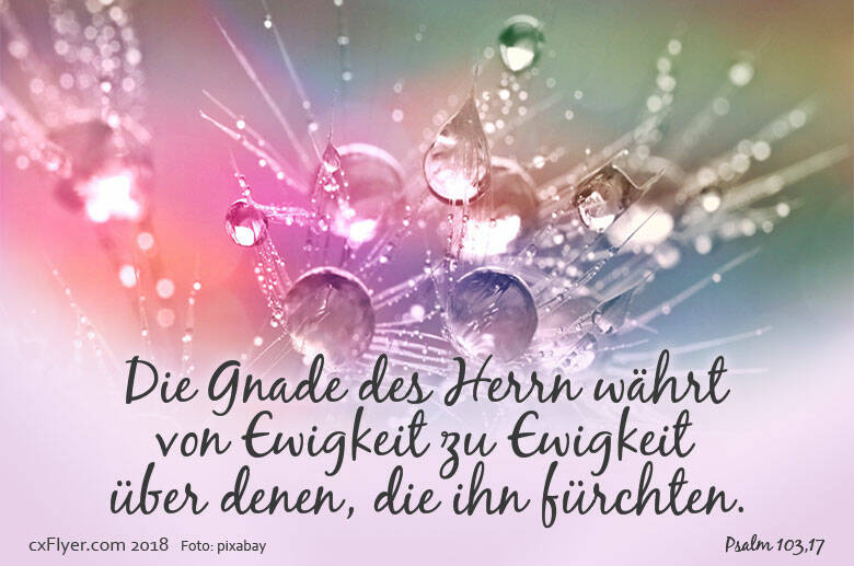 Die Gnade des Herrn währt von Ewigkeit zu Ewigkeit über denen, die ihn fürchten.