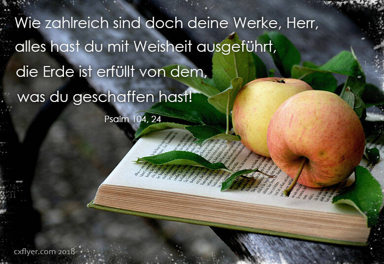 Wie zahlreich sind doch deine Werke, Herr, alles hast du mit Weisheit ausgeführt, die Erde ist erfüllt von dem, was du geschaffen hast.