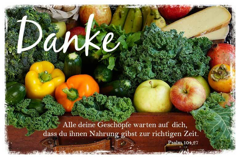 Alle deine Geschöpfe warten auf dich, dass du ihnen Nahrung gibst zur richtigen Zeit.