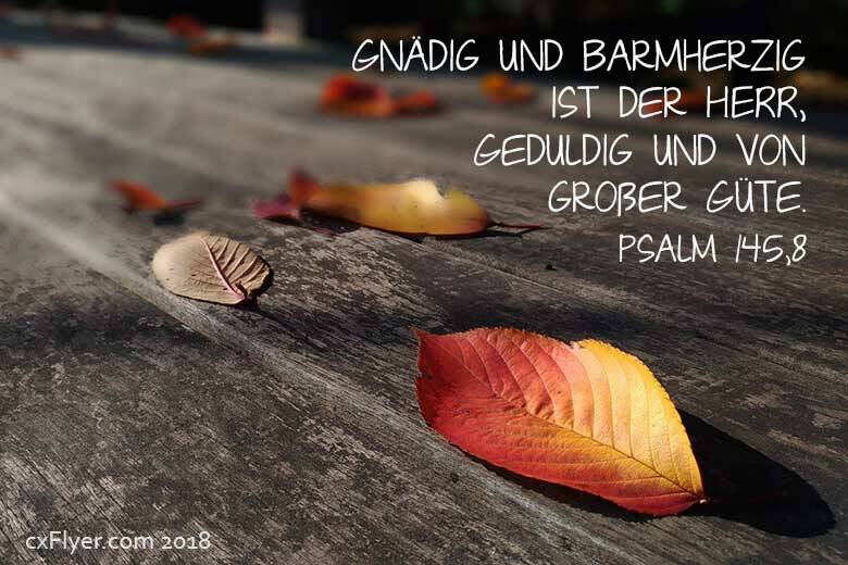 Gnädig und barmherzig ist der HERR, geduldig und von großer Güte.