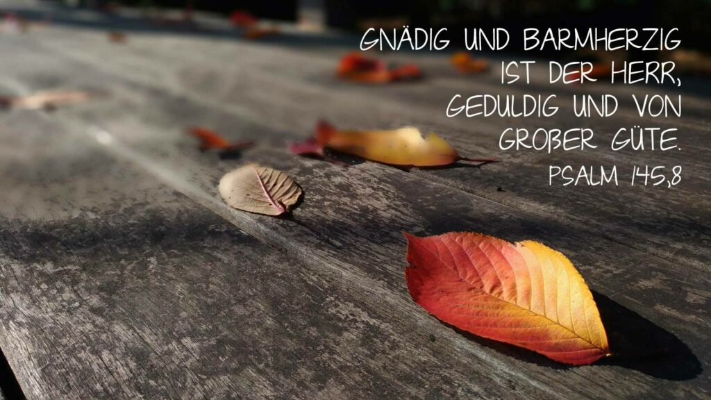 Gnädig und barmherzig ist der HERR, geduldig und von großer Güte